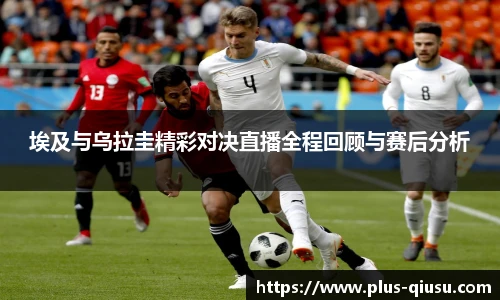 球速体育公司