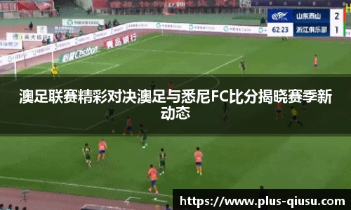球速体育公司