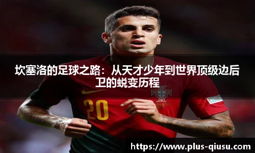 球速体育(QIUSU SPORT)官方网站 - 最专业体育游戏娱乐平台